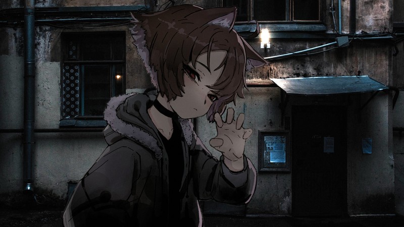 2D, anime