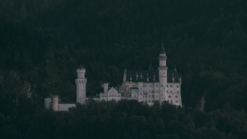 castle, trees, neuschwanstein castle, forest, mountains, schwangau, germany, 4k