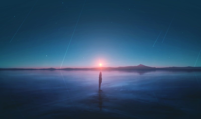 sunset, meteors, stars, sky, standing