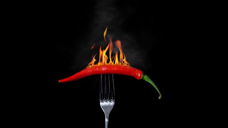 pepper, chile, fire, searing, fork, 4k