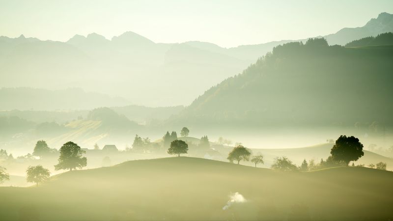 valley, fog, trees, mountains, 4k