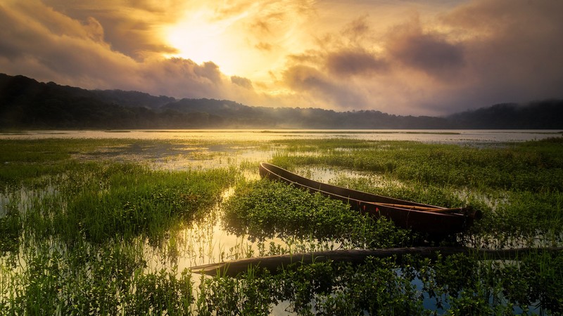 nature, plants, water, sky, sunlight, marsh, boat, sunset, calm, yellow, clouds, lake, landscape, log