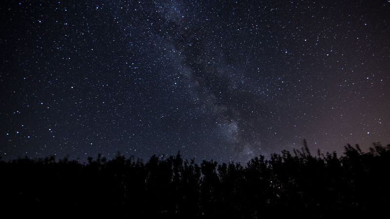 starry sky, milky way, night, trees, dark, shine, 4k