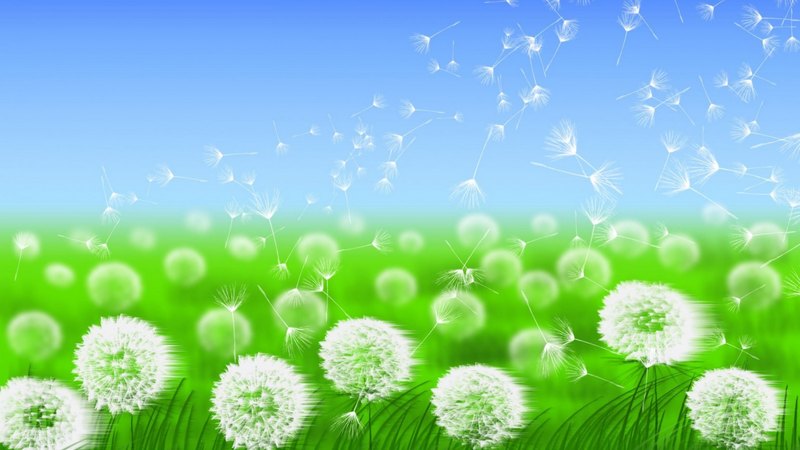 pretty, dandelions, green, white, blue, fantasy