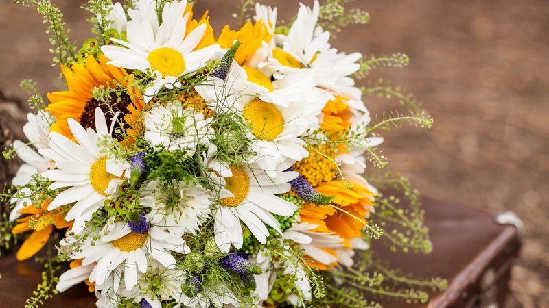 flower, flowers, nature, bouquet