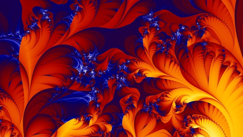 orange, texture, feather, abstract, lef, blue