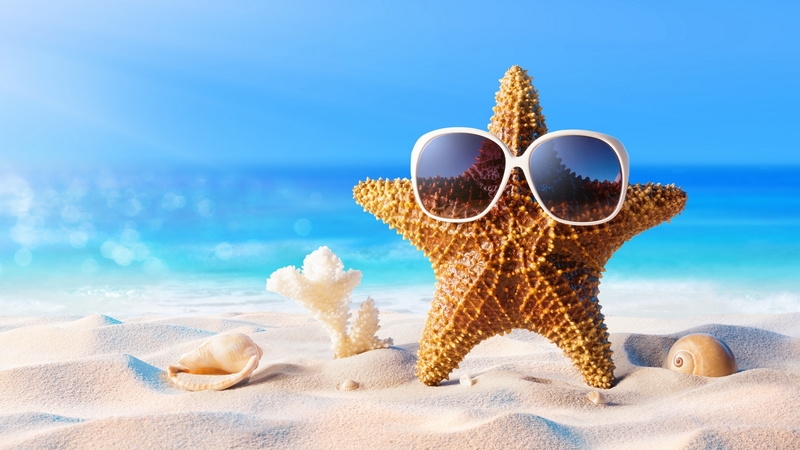 sand, starfish, sunglasses, vacation