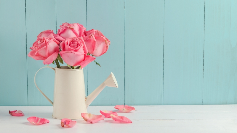 rose, flower, day, mother, pink, white, blue, card, wood