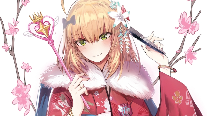 fate, order, grand, anime