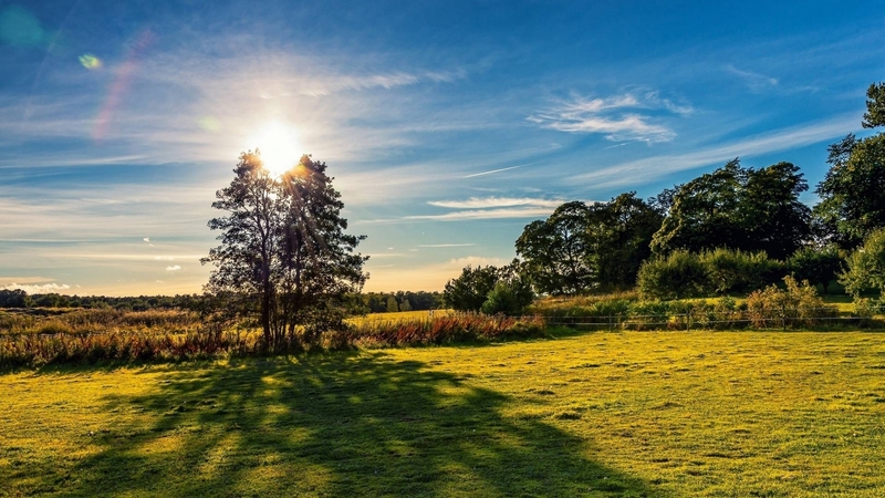 cool, nature, sunset, fun, field