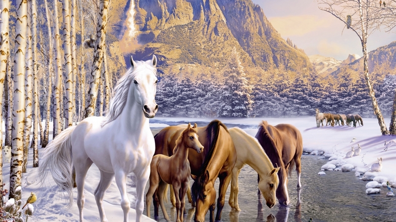water, painting, pictura, horse, winter, iarna, art, brown, cal, white