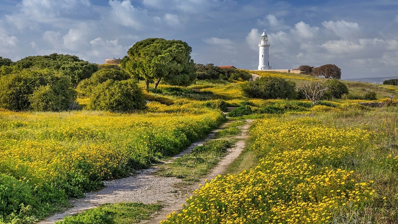 splendor, beauty, nature, lighthouse, wild flower, landscape, beach side, cloudy, trees, splendid nature, road