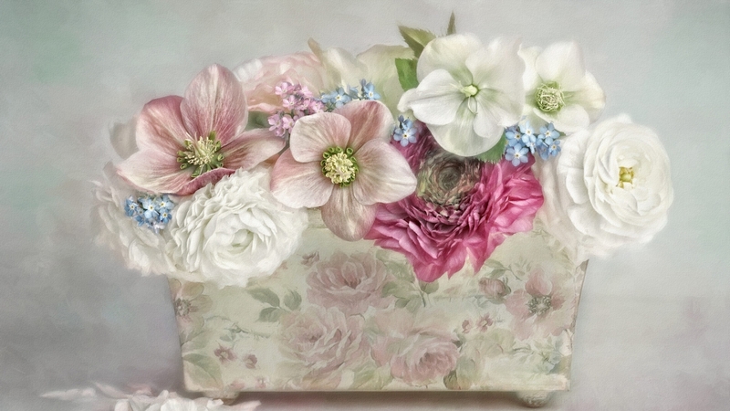 flower, vase, white, pink, still life