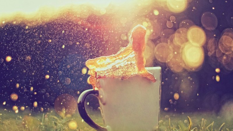 photo, cup, cool, coffee