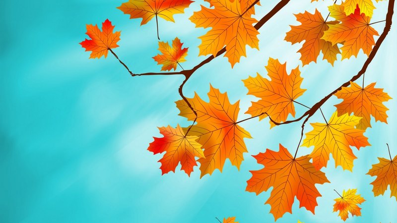 autumn, orange, sky, branch, blue, leaf