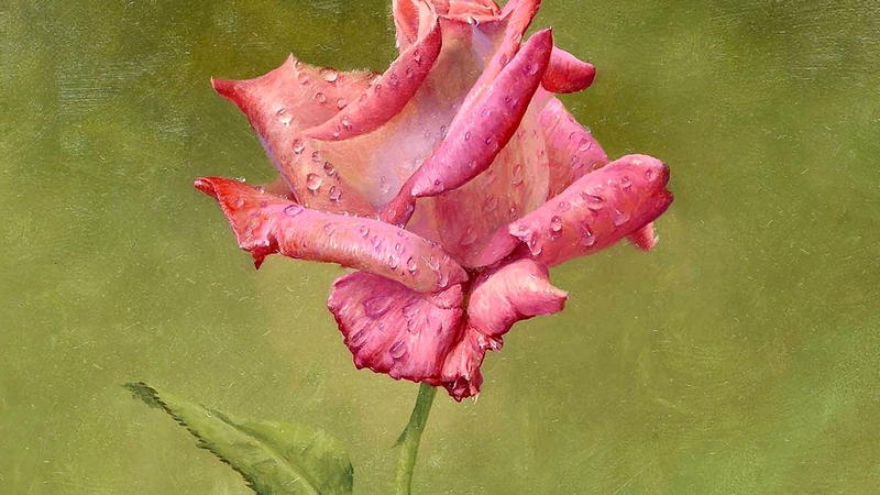 art, romance, rose, beautiful, artwork, floral, love, painting, wide screen, flower, beauty