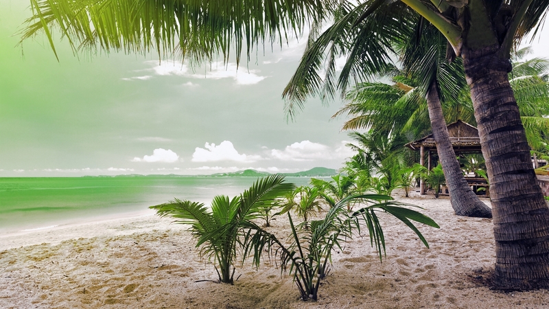 beach, sand, ocean, waves, clouds, tropics, sky, palm trees, mountains