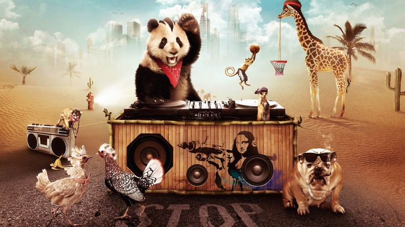 chicken, music, caine, creative, dj, situation, animal, panda, monkey, fantasy, funny, giraffe, dog