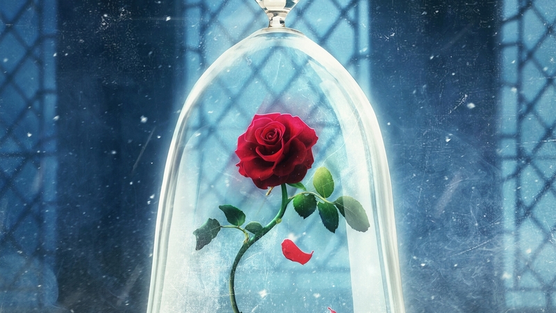 glass, red, beauty and the beast, rose, magical, trandafir, hosne qanadelo, blue, petals