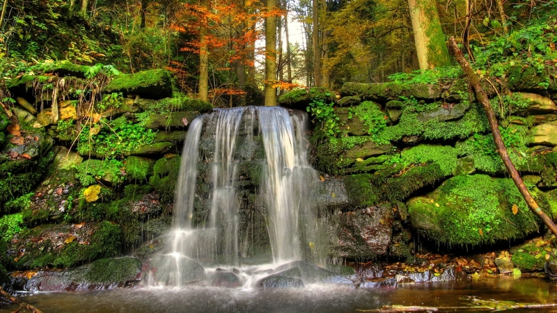 forest, waterfall, nature, trees, autumn