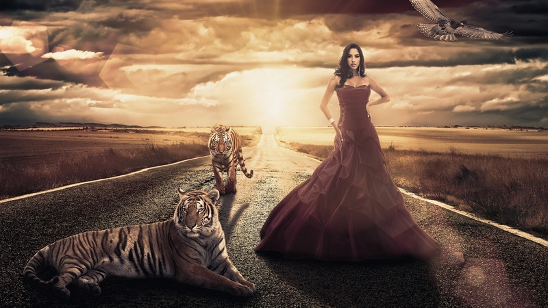 art, sun, girl, digital, tigers, sunset, sky, road, clouds