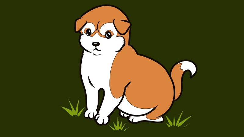 dog, akita, art, cute, minimalism, 4k