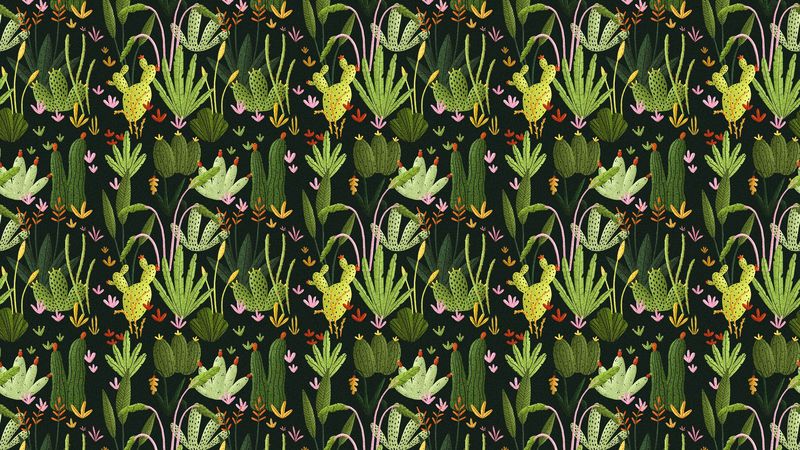 cactus, pattern, plants, 4k