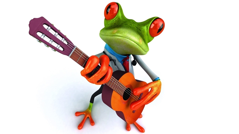 cute, frog, instrument, guitar, green, orange, funny, animal