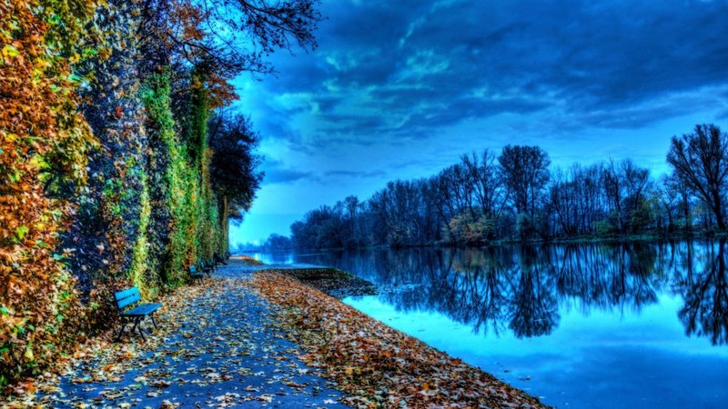autumn, leaves, bencg, river, hdr, trees, emankment