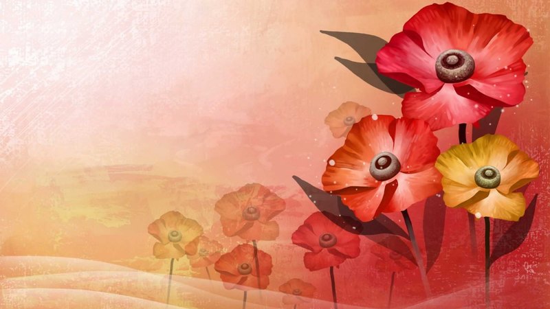 flower, nature, petal, abstract