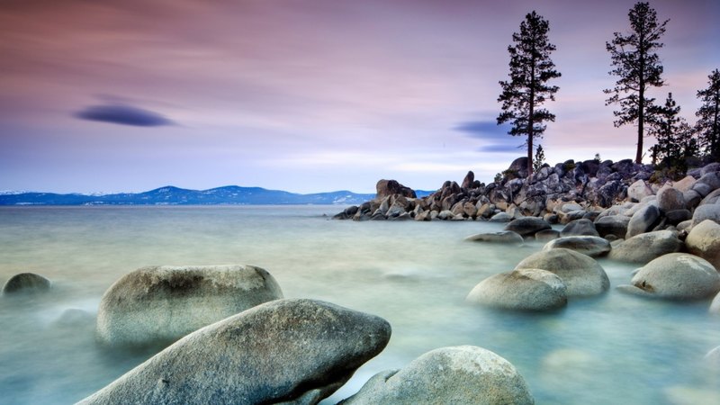 rocks, tree, shore, mountains, lake, mist