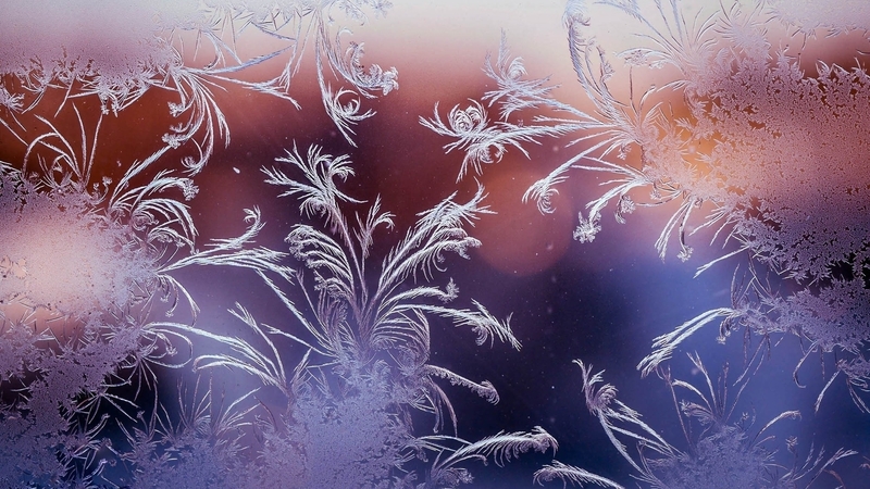 glass, window, winter, cold