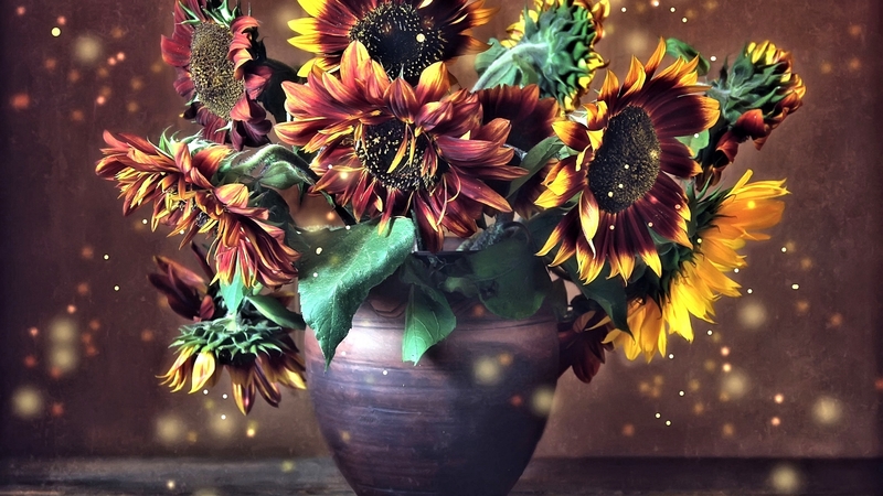 pretty, vase, still life, flower
