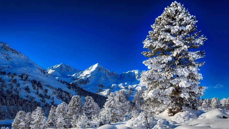 hills, forest, beautiful, trees, sky, winter, cold, mountain, snow, landscape, blue, frost