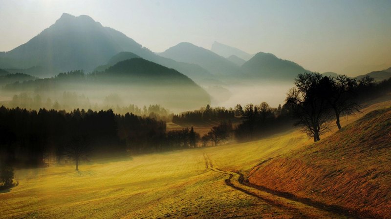 morning, valley, mountains, fog