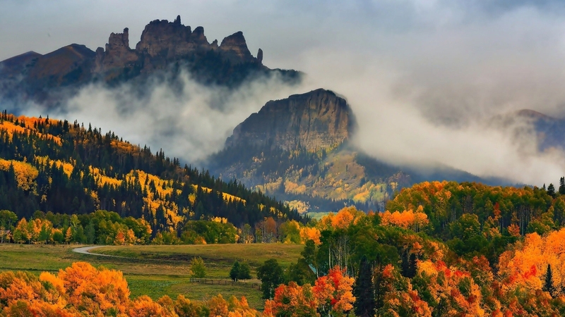 fall, mountains, colors, season, trees, mist