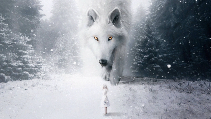 girl, lup, wolf, tiago aleixo, white, iarna, winter, forest, luminos, fantasy