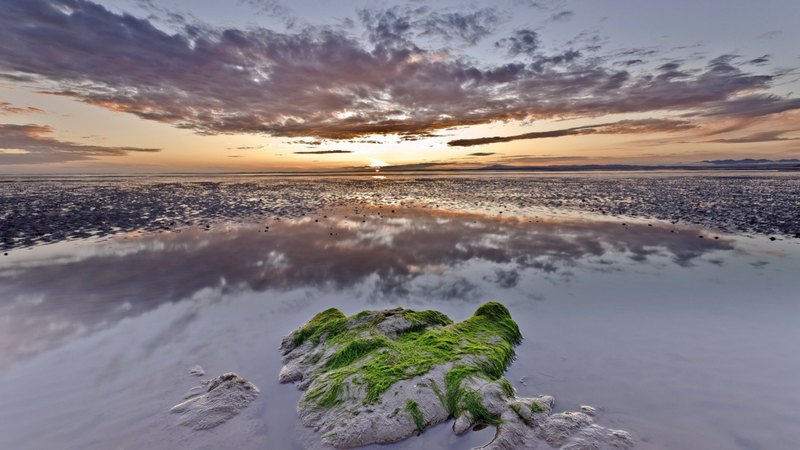 beach, rocks, moss, sunset, clouds, sea
