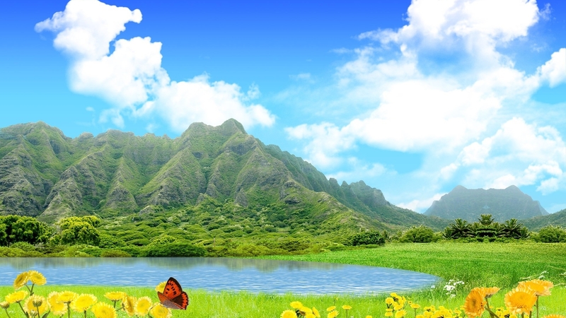 mountain, flowers, nature, trees, clouds, lake, meadow