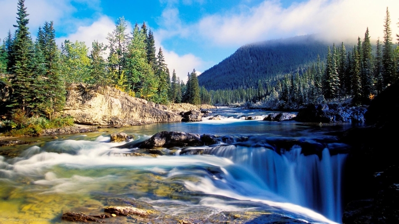 mountain, forest, summer, nature, river, sunset, landscape