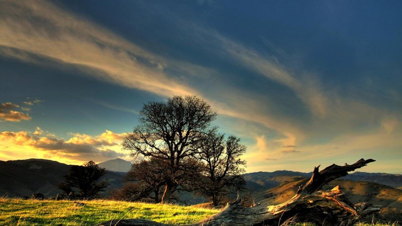 tree, mountains, sunset, sky, log