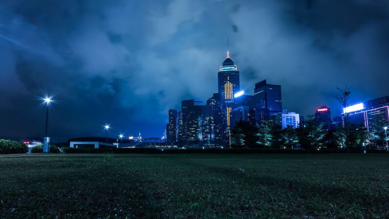 night city, city lights, skyline, grass, hong kong, 4k
