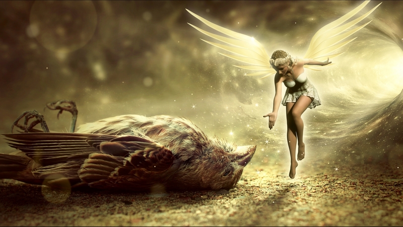 angel, fairy, death, dead, bird, life, magic