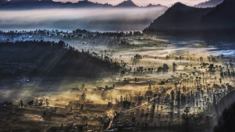 mountains, village, trees, fog, valley