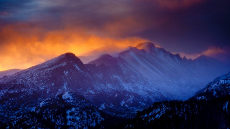 forest, snow, mountains, winter