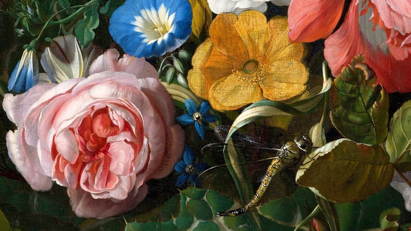 pink, pictura, blue, libelula, colorful, art, rose, yellow, painting, flower, dragonfly, insect