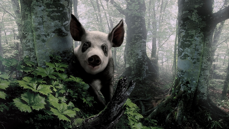 pig, chinese zodiac, green, funny, porc, white, forest, creative, panda, fantasy