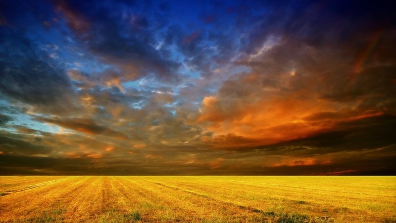 yellow, fields, sky, clouds