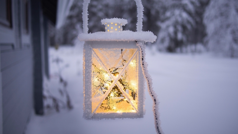 trees, lantern, snow, winter