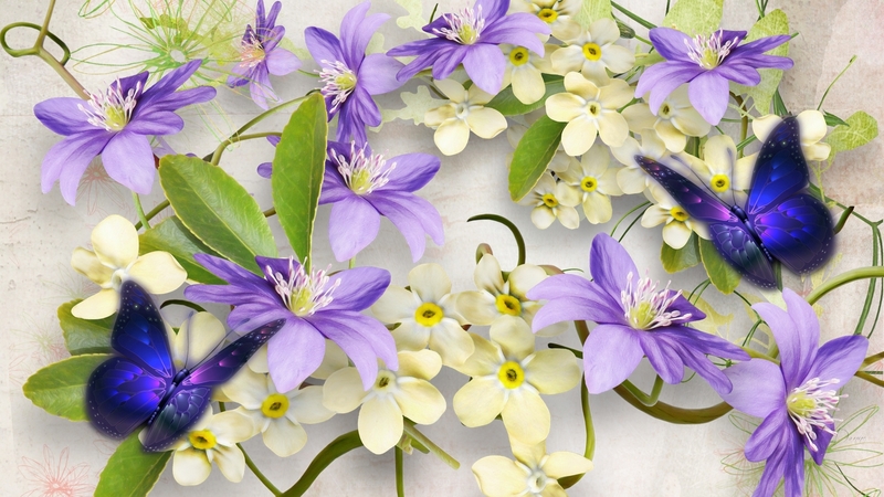 spring, lavender, butterflies, blooms, firefox theme, purple, blossoms, flowers, summer, nature